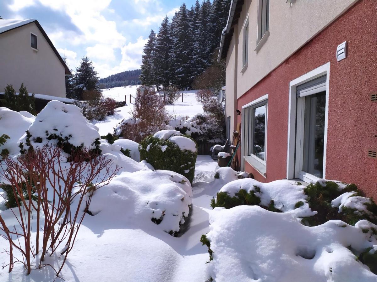 Ferienwohnung Eschenberg Winterberg Exterior foto